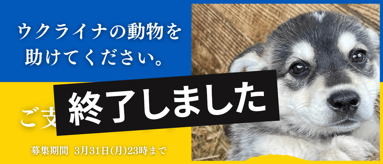 クラウドファンディングは終了しました